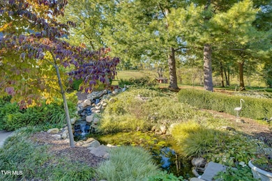 9 Dove Tree Ln, Jonesborough, TN 37659 - photo 6