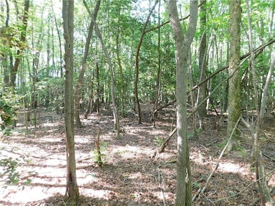 00 Chester Rd, Dahlonega, GA 30533 - photo 2