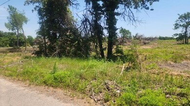 View of local wilderness