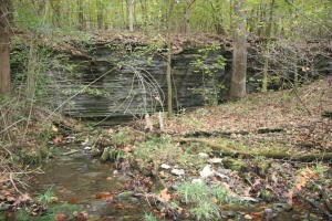 0 Wolf Springs Rd N, Harrison, AR 72601 - photo 5