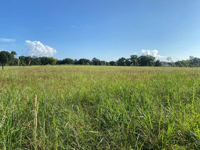 TBD Baudoin Rd, Maurice, LA 70555 - photo 7