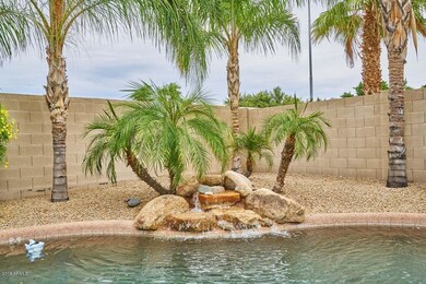 Pool-Water Feature