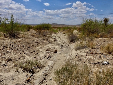 0 Hwy 118 unit 130769, Terlingua, TX 79852 - photo 7