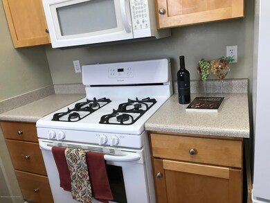 gas range