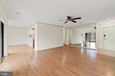 13 Spa Creek Landing unit B1, Annapolis, MD 21403 - photo 6