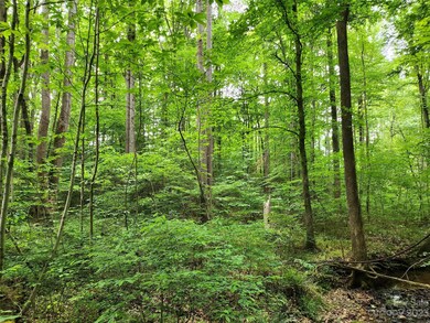 599 Shiloh Rd, Statesville, NC 28677 - photo 5