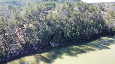 Lot 59 Sipsey Overlook Rd, Double Springs, AL 35553 - photo 3