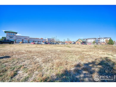 2306 17th Ave, Longmont, CO 80501 - photo 6