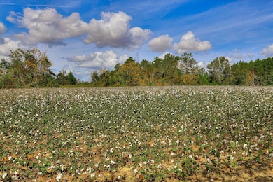 1300 Terry Dr, Wrens, GA 30833 - photo 7