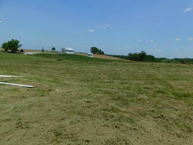 3620 Helena Rd, Mayslick, KY 41055 - photo 6