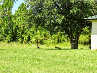 1114 Belgrave St, Fort Myers, FL 33913 - photo 7