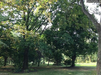 Trees recently professionally trimmed, nice clean 