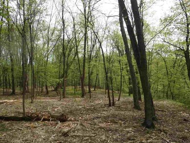 54 Rose Ln, Rensselaer, NY 12144 - photo 6