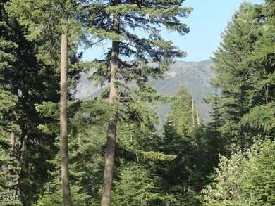 29771 Mt Highway 209, Bigfork, MT 59911 - photo 7