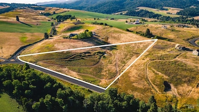 1070 Chaney Rd, Viola, ID 83872 - photo 3