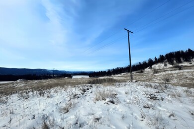 3341 Daisy Mine Rd, Rice, WA 99167 - photo 5