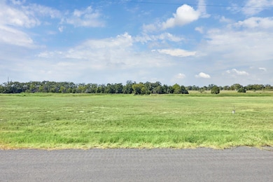 105 Nyala Ln, Rosanky, TX 78616 - photo 4