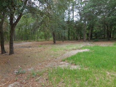 7451 SE 214th Ave, Morriston, FL 32668 - photo 7