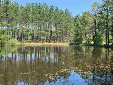 4043 N Carolina 96, Oxford, NC 27565 - photo 2