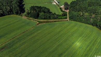 8.06 Acs Old Bucksville Rd, Conway, SC 29527 - photo 6