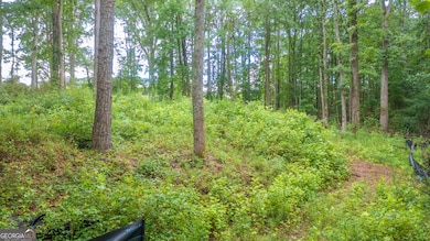 185 Grand Jct, Sharpsburg, GA 30277 - photo 5