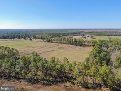 2132 Liners Rd, Church Creek, MD 21622 - photo 7