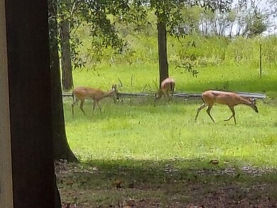 received_780576853152812