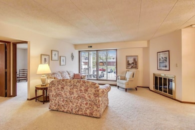 462 S President St unit 202, Carol Stream, IL 60188 - photo 4