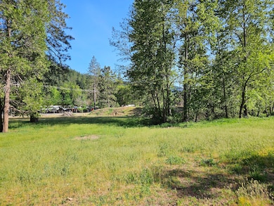 0 S 1st St, Dunsmuir, CA 96025 - photo 3