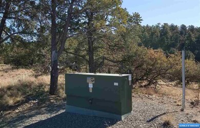 45 Vesuvius Way, Silver City, NM 88061 - photo 5