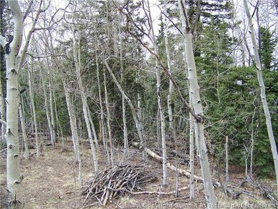 Land/Lot.
