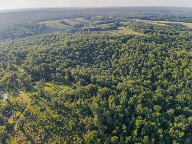 Tbd State Highway Y, Willow Springs, MO 65793 - photo 5