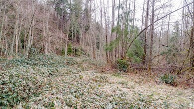 39950 295th Place SE, Enumclaw, WA 98022 - photo 7