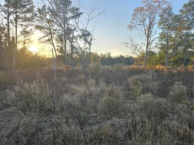 241 NW Darwin Loop, Madison, FL 32340 - photo 4