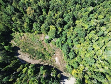 596 Watershed Rd, Port Angeles, WA 98362 - photo 5