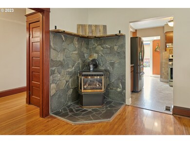 Fireplace Gas Burning Stove/Insert