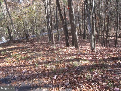 0 Anderson and Lee Corner unit VASH2001406, Basye, VA 22810 - photo 2