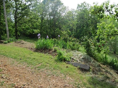 24684 Coats Rd, Maysville, AR 72747 - photo 5