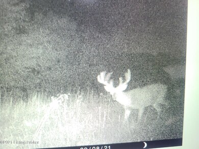 706 Sanders Ln, Willisburg, KY 40078 - photo 5