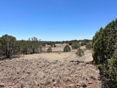 48225 N Steve Ln, Ash Fork, AZ 86320 - photo 5