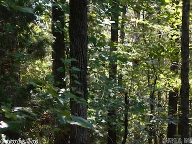 00 W Main, Heber Springs, AR 72543 - photo 6