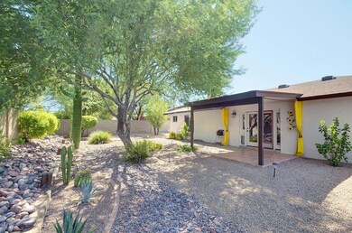 Big Back Yard