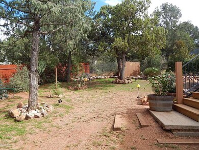 Backyard 2