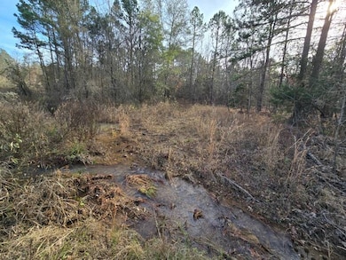 100 Tbd Heavener Oklahoma, Heavener, OK 74937 - photo 4