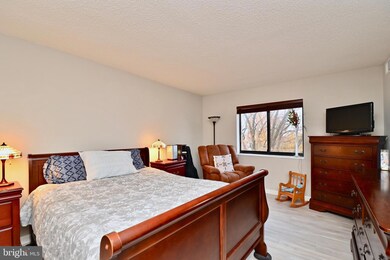 5901 Mount Eagle Dr unit 706, Alexandria, VA 22303 - photo 6