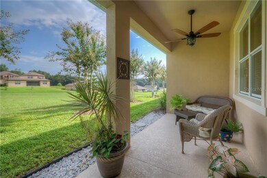 21623 Belgian Ct, Mount Dora, FL 32757 - photo 5