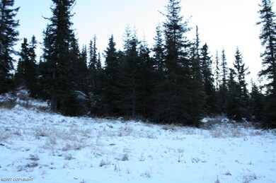 L39A Sterling Hwy, Anchor Point, AK 99556 - photo 3