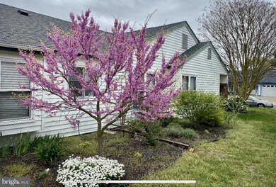 38 Windsor Rd, Southampton, NJ 08088 - photo 4