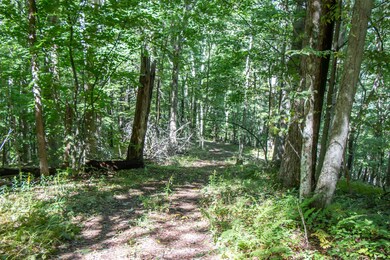 13.37 Acres - Rhymer Road, Damascus, VA