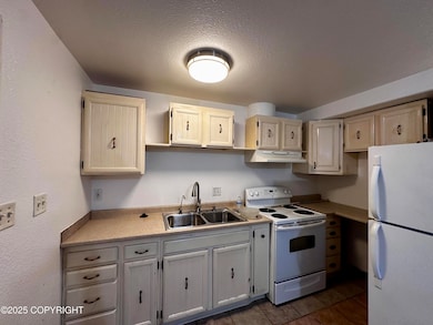 2610 W 30th Ave unit 2, Anchorage, AK 99517 - photo 5